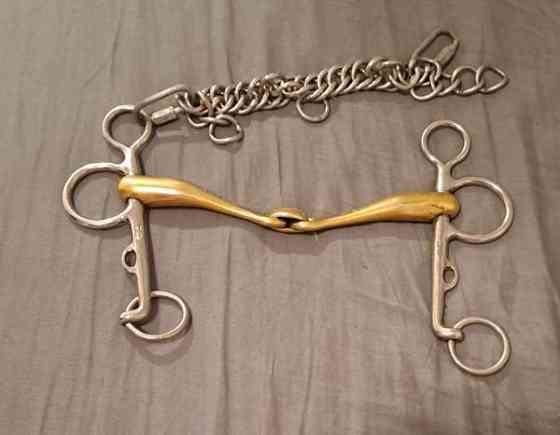 Neue Schule Turtle Taction Pelham kuolain Jyvaeskylae