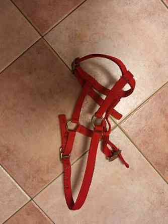 Riimu pony / varsa Вантаа