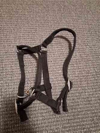 Varsariimu Lappeenranta