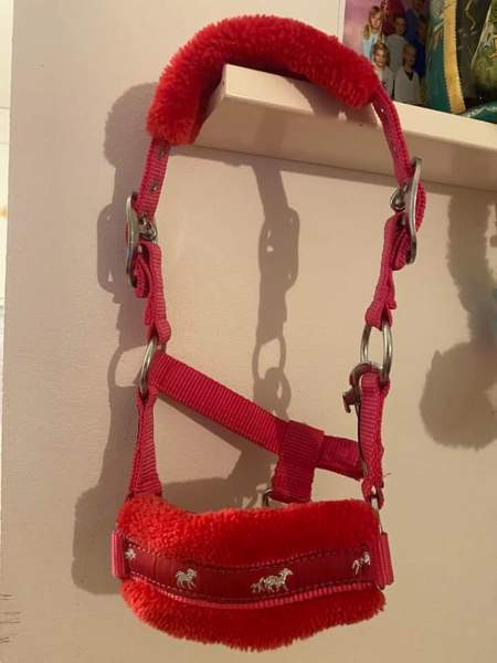 Shetlanninponille varusteita Helsinki - изображение 1