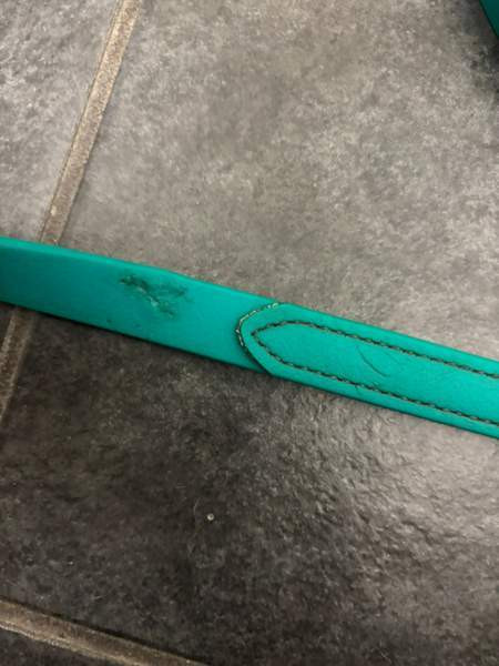 Karlslund ohjat Oulu – foto 2