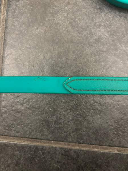 Karlslund ohjat Oulu – foto 3