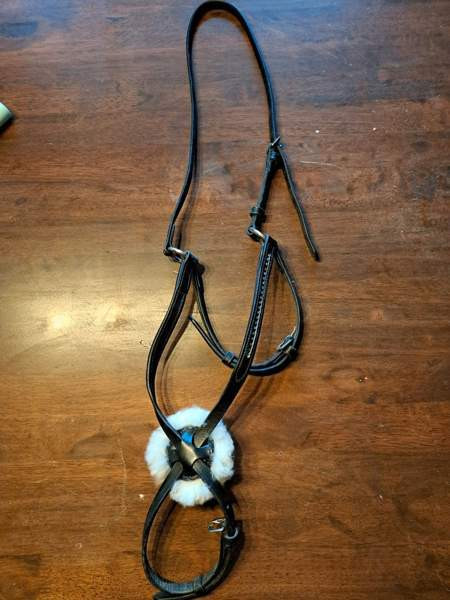 Meksikolainen turpis cob ja otsapanta Hämeenkyrö – foto 1