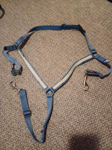 Ristirintaremmi shetlanninponille Lieksa - photo 1