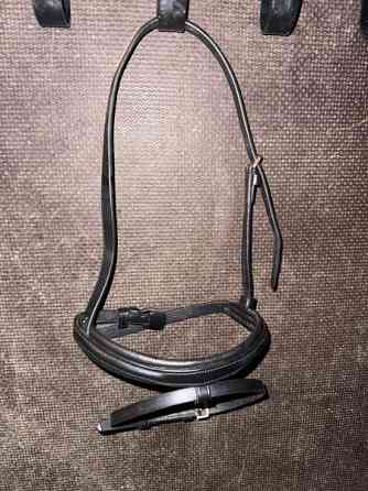 Uusi mini/shettis turpahihna Mustasaari