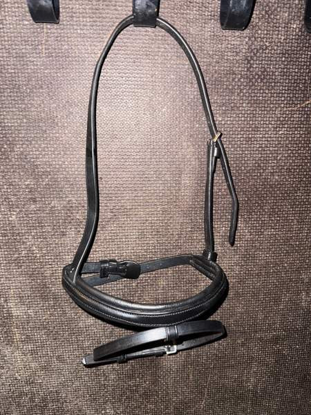 Uusi mini/shettis turpahihna Mustasaari - valokuva 1