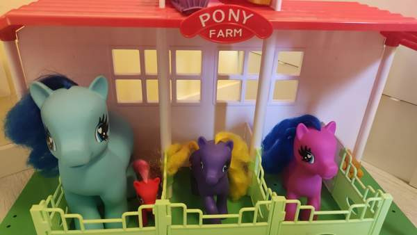 Pony farm -talli Sievi – foto 2