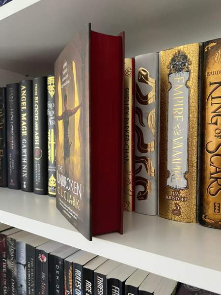 Special edition and hardcover books Haemeenlinna – foto 3