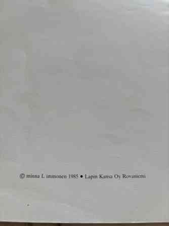 Minna Immonen : Keijuseni Tampere