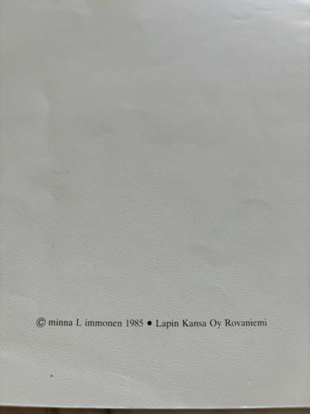 Minna Immonen : Keijuseni Tampere - valokuva 3