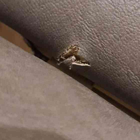 Hierontapöytä Virrat