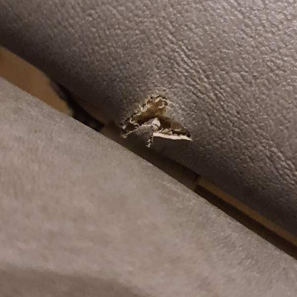 Hierontapöytä Virrat - valokuva 4