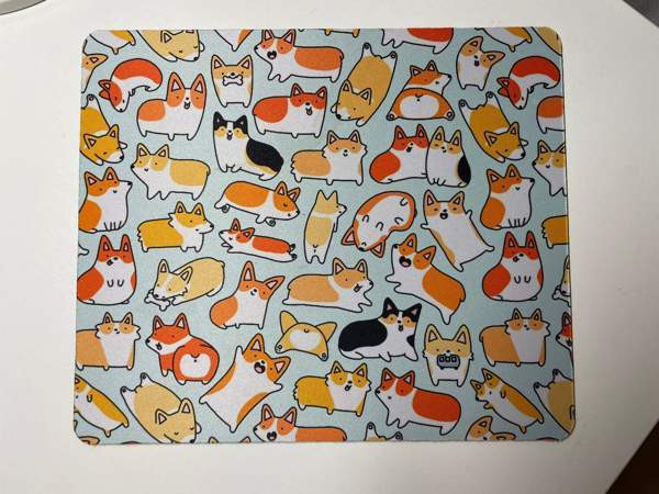 Hiirimatto Espoo – foto 1