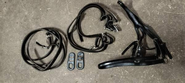 Uudenveroiset valjakkovaljaat Kemiönsaari – foto 4