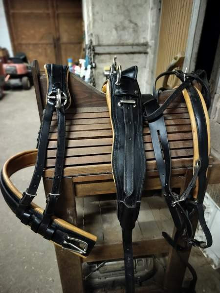 Uudenveroiset valjakkovaljaat Kemiönsaari – foto 1