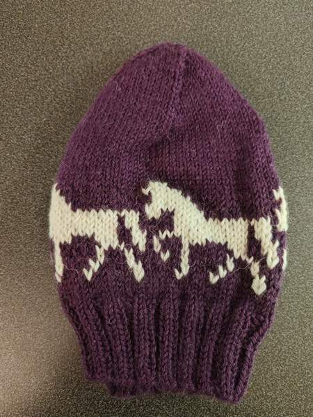 Hevoskuvioinen neulepipo Keminmaa - photo 1