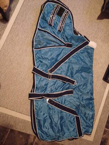 Shetlanninponin sisätoppaloimi 85 cm Lieksa – foto 1