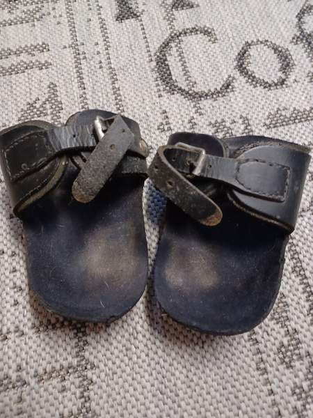 Shetlanninponin polvisuojat Lieksa – foto 2