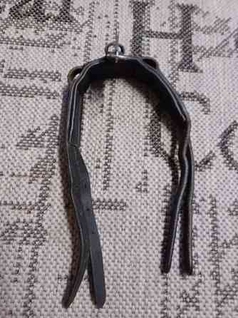 Shetlanninponin niskaremmi Lieksa