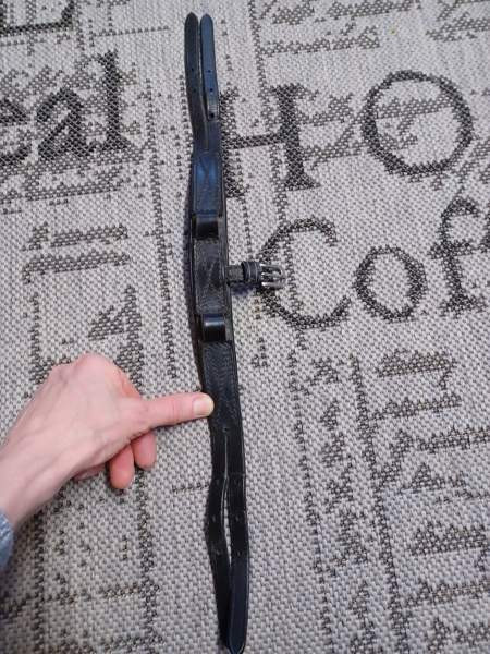 Shetlanninponin niskaremmi Lieksa - valokuva 2