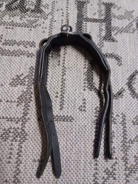 Shetlanninponin niskaremmi Lieksa - valokuva 1