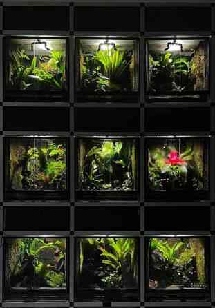 9 terraarion aluräkkikokonaisuus Nokia