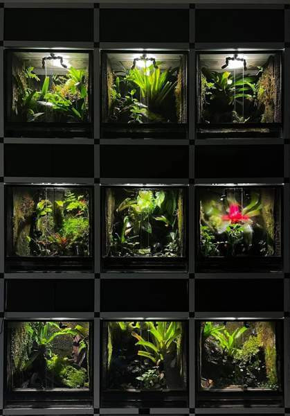 9 terraarion aluräkkikokonaisuus Nokia - photo 1