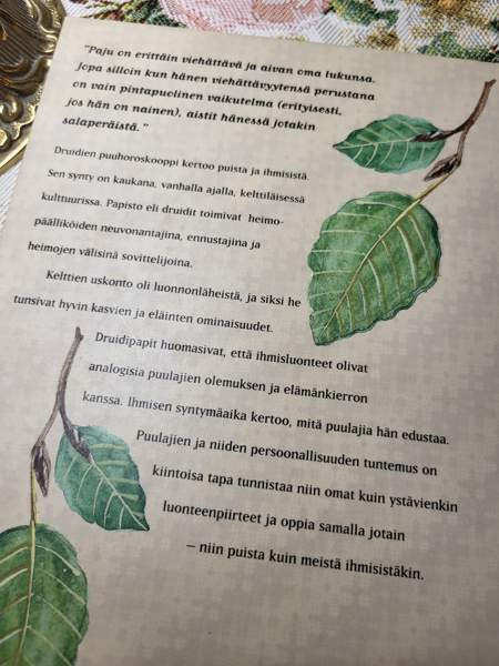 Druidien Puu horoskooppi Lohja – foto 2