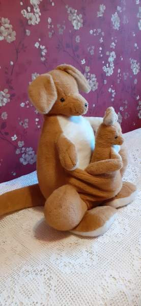 Kenguruperhe Nousiainen - valokuva 3