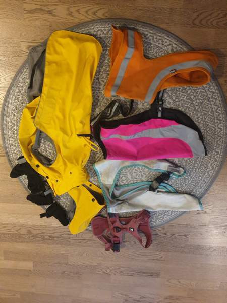 Koiran valjas, heijastin liivejä, viilennin, koot 45-55 Oulu - valokuva 1