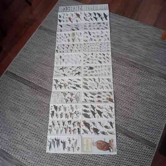 Suomen pesimälinnut Orimattila