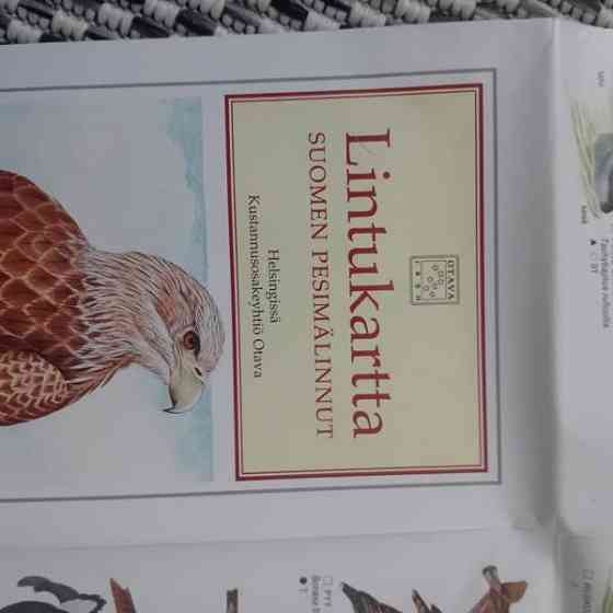 Suomen pesimälinnut Orimattila