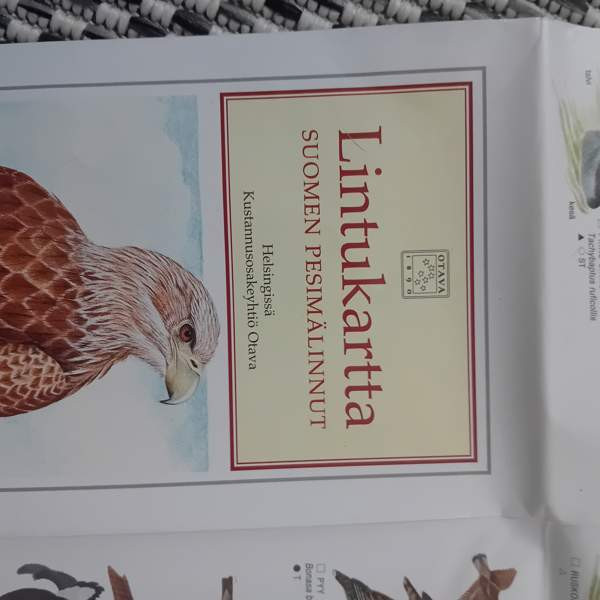 Suomen pesimälinnut Orimattila – foto 2