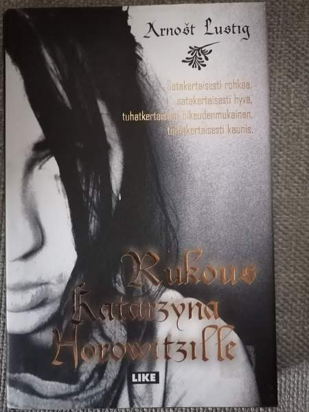 Rukous Katarzyna Horowitzille Haemeenlinna - photo 1