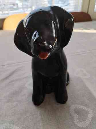 Labrarador -patsas Вааса