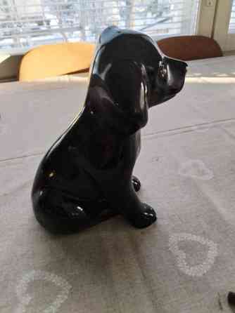 Labrarador -patsas Вааса