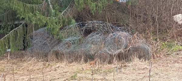 Lammasverkkoa noin 190 m, korkeus 90 cm. Porvoo - valokuva 1