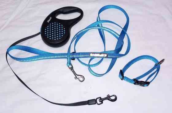 Koiralle flexi, kaulapanta ja talutushihna Isojoki