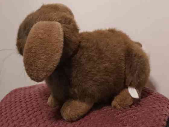 Söpö pehmo pupu Vantaa