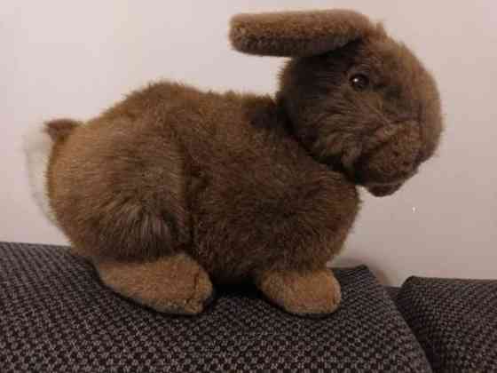 Söpö pehmo pupu Vantaa