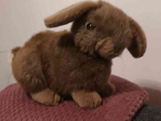 Söpö pehmo pupu Vantaa