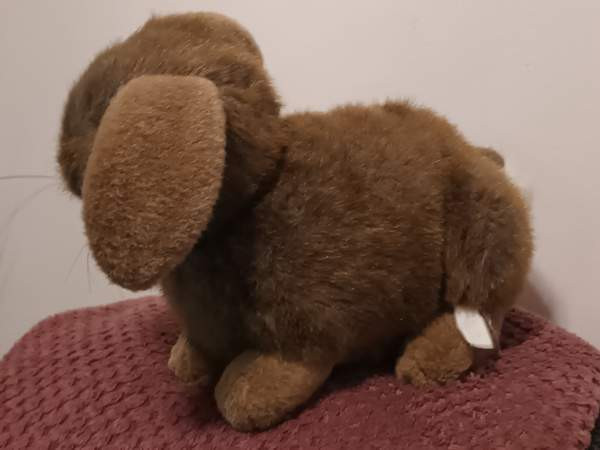 Söpö pehmo pupu Vantaa - photo 4