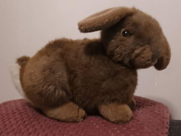 Söpö pehmo pupu Vantaa - photo 2