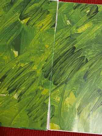 Kirja: Voittamaton leppäkerttu Maentsaelae