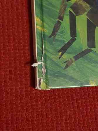 Kirja: Voittamaton leppäkerttu Maentsaelae