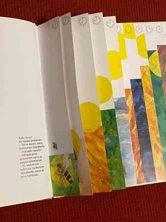 Kirja: Voittamaton leppäkerttu Maentsaelae