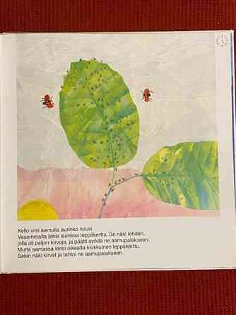 Kirja: Voittamaton leppäkerttu Maentsaelae