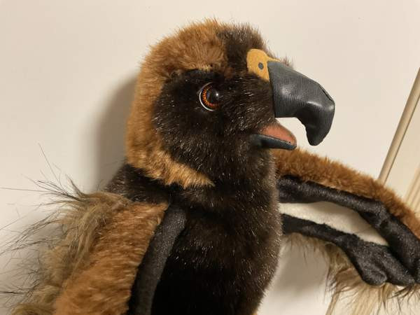 Kotka käsinukke Folkmanis Puppets Hämeenkyrö - valokuva 2