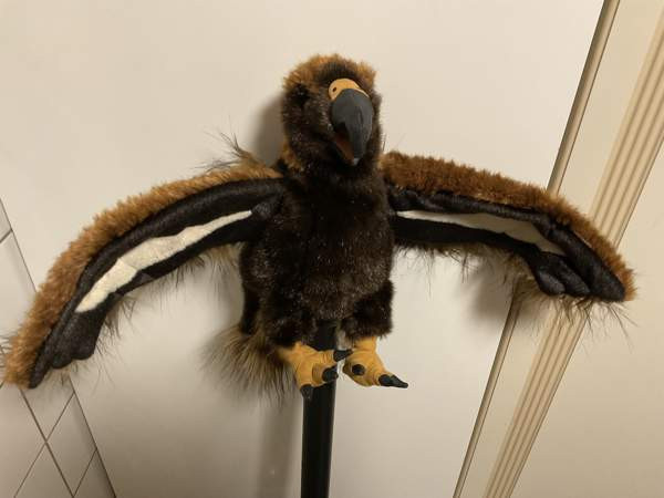 Kotka käsinukke Folkmanis Puppets Hämeenkyrö - valokuva 1