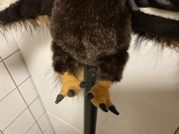 Kotka käsinukke Folkmanis Puppets Hämeenkyrö - valokuva 6